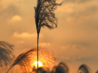 你几点起，就是什么命 ！（准）