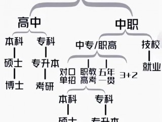 中考分流怎么分？一张图给您说清楚