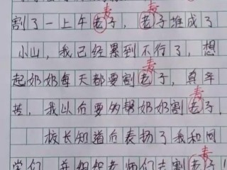 小学生作文《我的小姨》走红
