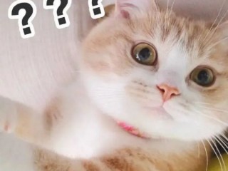 万万没想到，“早起”可能比熬夜更危险！