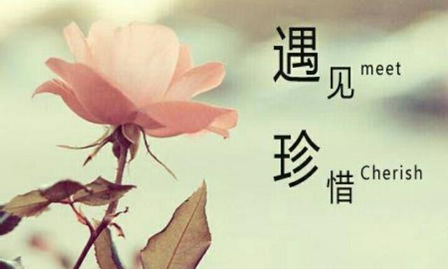 靠谱的人，遇见了请珍惜
