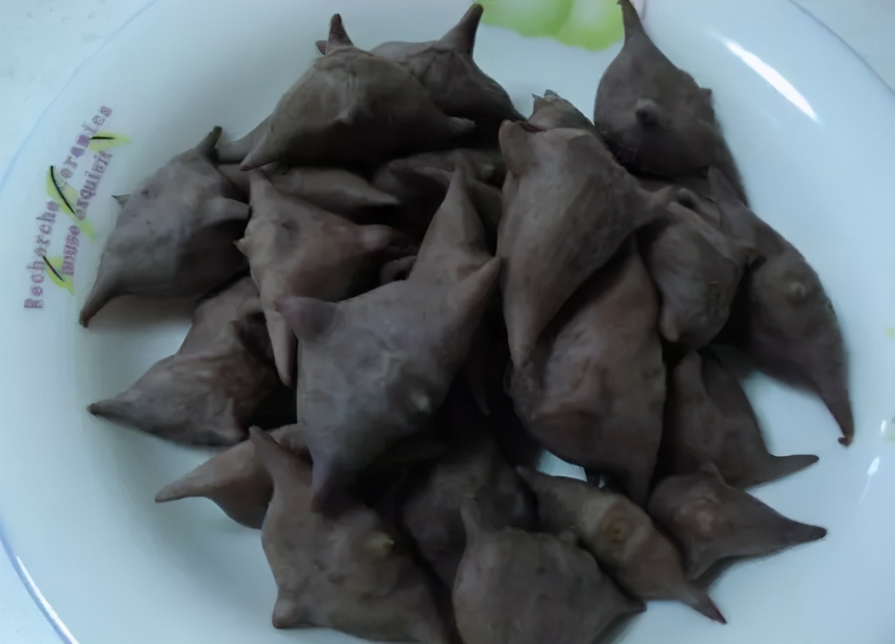 80后的零食和玩意:这些都是“回忆杀”啊